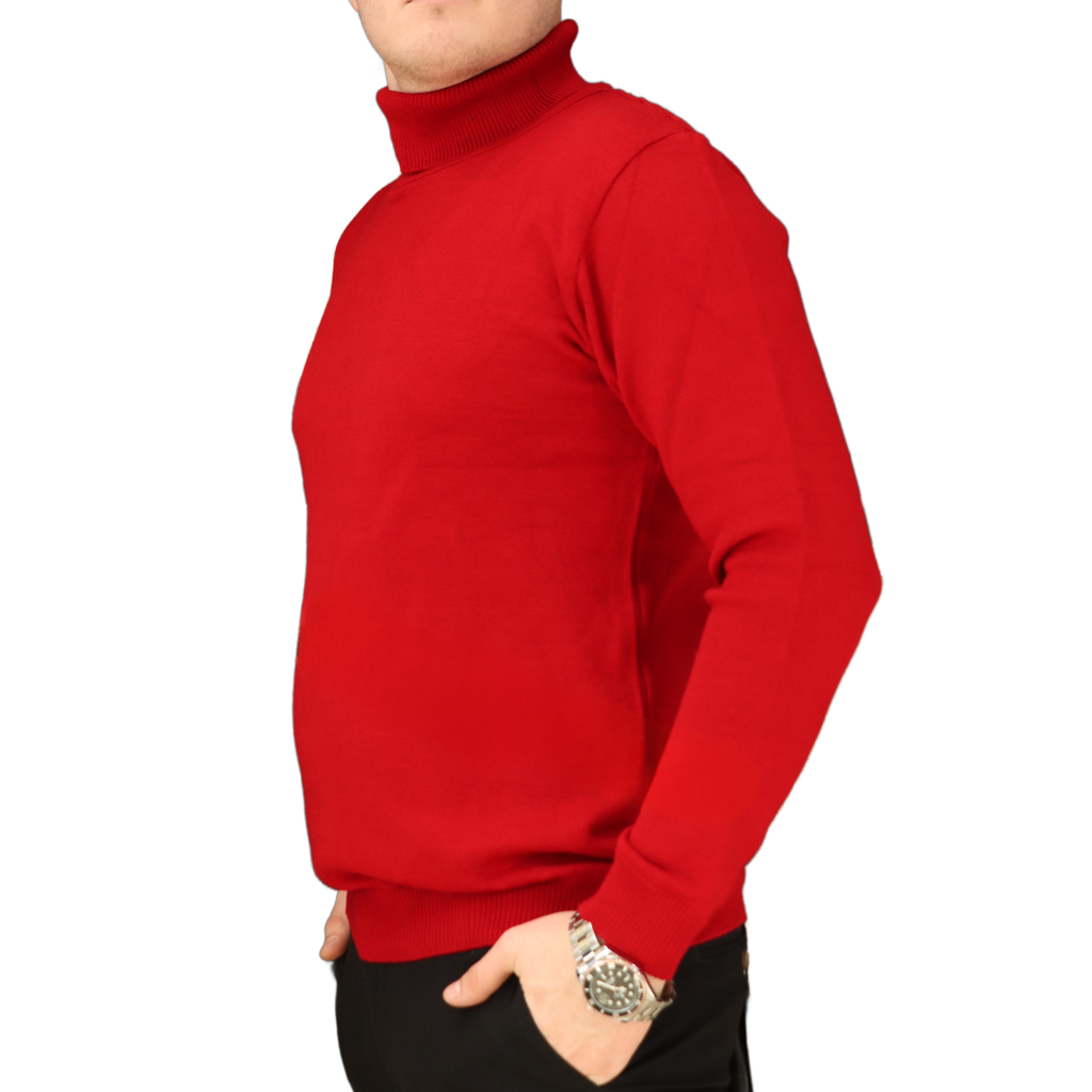 CAB SUETER MOLLER CUELLO TORTUGA BASICO 